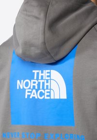 The North Face RAGLAN REDBOX - Felpa con cappuccio - smoked pearl