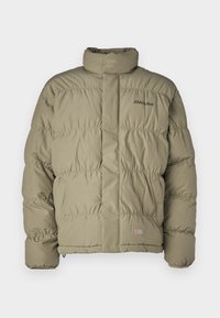 GLACIER VIEW PUFFER - Vinterjakker - imperial green