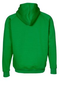 Felpa verde semplice con cappuccio vista da dietro, dotata di maniche lunghe e polsini e orlo a coste, su uno sfondo bianco.