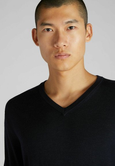 Schwarzer V-Ausschnitt-Pullover aus einem weichen Stoff, mit einer glatten Textur und einer taillierten Passform. Keine sichtbaren Muster oder Beschläge.