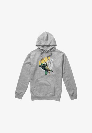Warner Brothers, ARROW BEWARE - Hoodie - mottled light grey