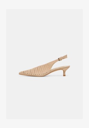 Zapato beige con punta puntiaguda y talón descubierto, parte superior perforada, tacón bajo de estilo gatito y correa ajustable con hebilla dorada sobre fondo blanco.