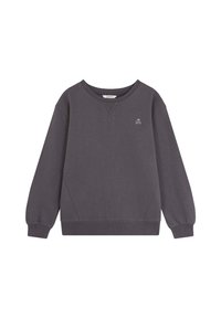 Sudadera gris de manga larga, con puños y dobladillo acanalados, que presenta un pequeño logo de calavera bordado en el pecho. Textura de tela suave.