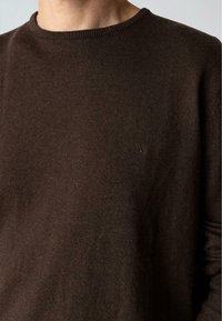 Clean Cut Copenhagen CLAUDE CREWNECK - Jersey de punto - brown melange