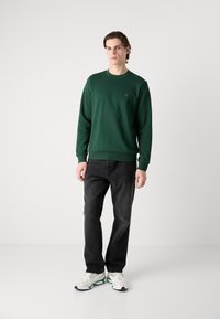 Felpa verde con collo rotondo e polsini a costine, abbinata a jeans scuri e sneakers bianche con dettagli verdi. Design semplice.