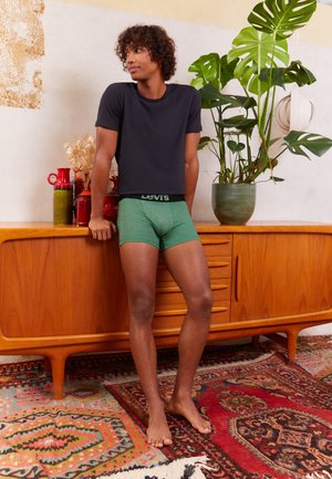 MEN OPTICAL ILLUSION BRIEF 2 PACK - Trunks - green