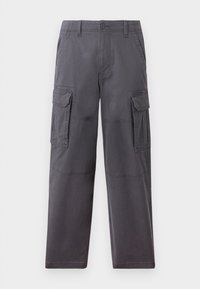 Hollister Co. SKATER BAGGY - Cargo trousers - grey