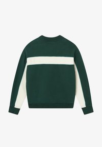 Πράσινη μπλούζα με λευκή οριζόντια ρίγα, στρογγυλή λαιμόκοψη και ριχτές μανσέτες. Φτιαγμένη από μαλακό ύφασμα με αντίθετες λεπτομέρειες πάνελ στα μανίκια.