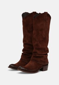 Une paire de bottes en suède brun foncé, hautes, avec de petits talons empilés et un design de tige flasque sur un fond blanc.