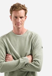 Lange mouwen, lichtgroene sweatshirt gemaakt van zacht katoen, met een geribbelde ronde hals en een klein logo-opdracht op de mouw.