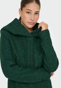 Zelen plašč iz volnene mešanice z širokim kapuco, teksturirano površino in vertikalnimi šivi, oblečen na modelu, ki ima roke blizu ovratnika.