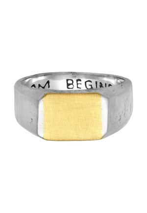 WISDOM  - Ring - silberfarben