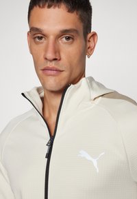 Puma EVOSTRIPE WARM FULL ZIP HOODIE - Felpa con zip - alpine snow