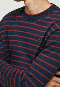 Navy-blau und rot gestreifter Pullover mit Rundhalsausschnitt. Weicher Stoff, mit einem kleinen grünen Logo auf der Brust. Lange Ärmel.