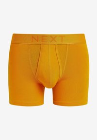 Next A FRONTS 10 PACK - Apakšbikses - rich brights