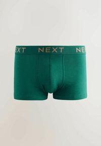 Zaļas bokseršorti ar gludu tekstūru. Aprīkoti ar elastīgu jostasvietu, uz kuras ir uzraksts "NEXT" metāliski rozā zelta burtiem.