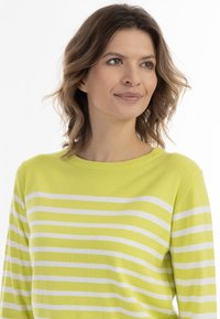 Pullover a strisce verde chiaro con strisce orizzontali bianche, dotato di scollatura a girocollo e maniche lunghe, realizzato in un morbido materiale lavorato a maglia.