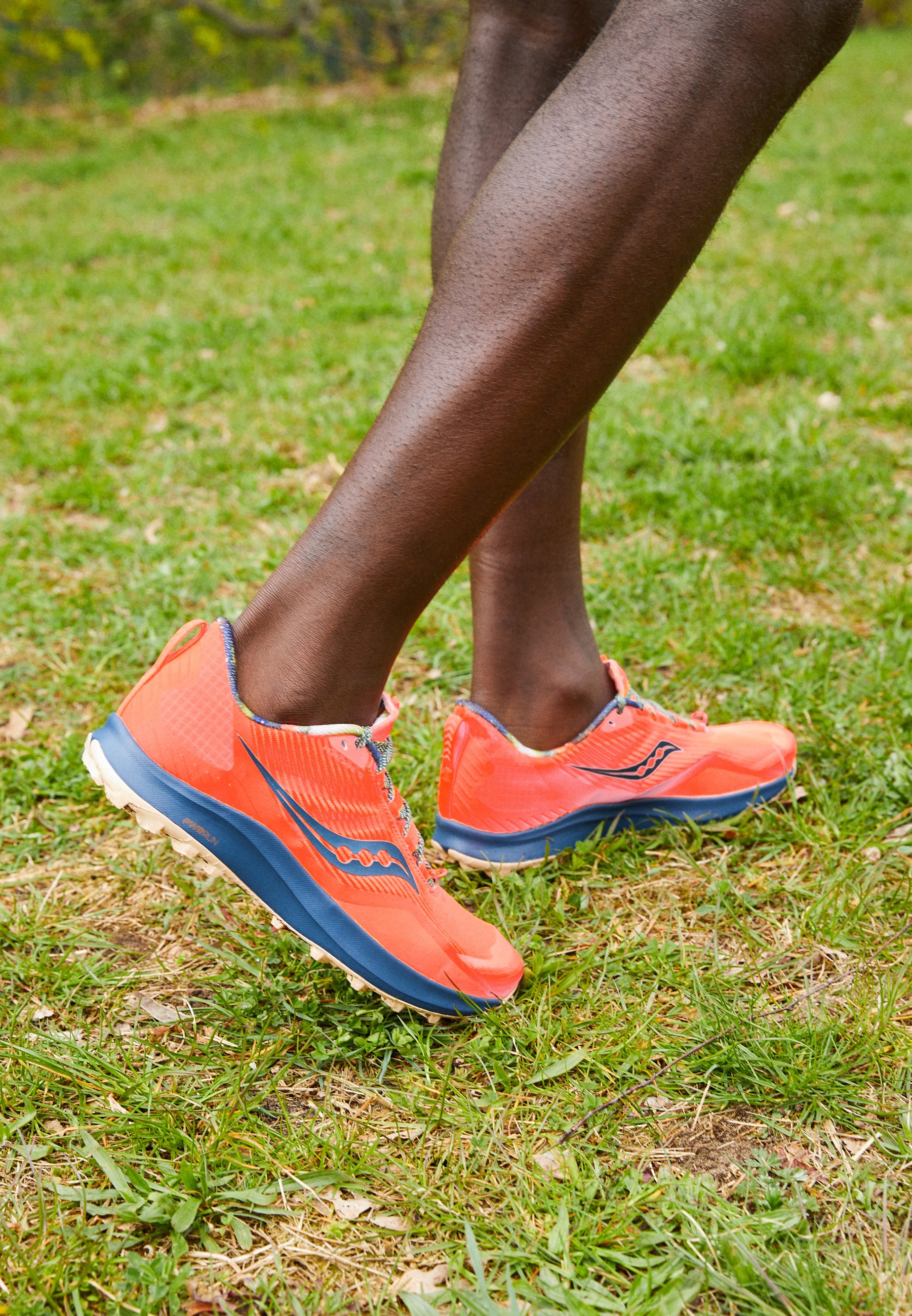 peregrine 12 saucony