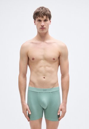 Pánske boxerky svetlozelené s hladkou textúrou, elastickým pásom s logom a priliehavým strihom. Bez ďalších vzorov alebo ozdôb.