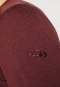 icebreaker MEN CREWE - Camisola de manga comprida - DARK BROWN