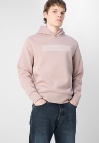 Calvin Klein BOX STRIPED LOGO HOODIE - Kapucni - bark