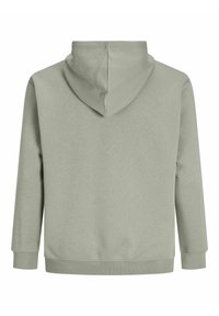 Bluza z kapturem w jasnozielonym materiale o gładkiej strukturze. Posiada długie rękawy, ściągacze na mankietach oraz prosty design bez zdobień.