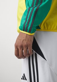 adidas Performance Equipación de selecciones - black
