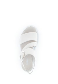 White sandal with two wide straps and a circular metal buckle, featuring a slightly cushioned sole and smooth texture.