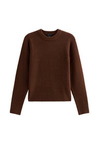 Bruine sweater van zacht materiaal, met een ronde halslijn, lange mouwen en een geribbelde zoom. Eenvoudig ontwerp zonder patronen of accenten.
