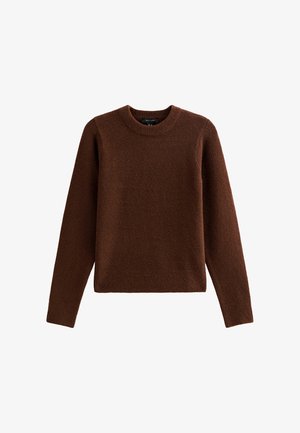 Bruine sweater van zacht materiaal, met een ronde halslijn, lange mouwen en een geribbelde zoom. Eenvoudig ontwerp zonder patronen of accenten.