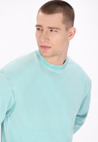 Lichtblauwe sweatshirt met ronde hals, gemaakt van zachte stof, met zijnaad en een ontspannen pasvorm. Geen zichtbare patronen of hardware.
