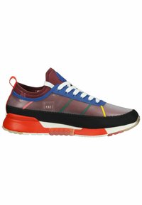 Scotch & Soda Sneaker low - ams proof