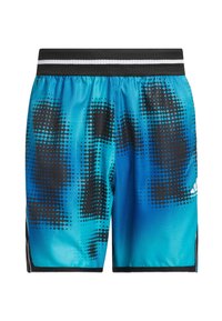 Calções desportivos azuis com padrão halftone preto, cinta preta com listras brancas e logótipo da Adidas na lateral.