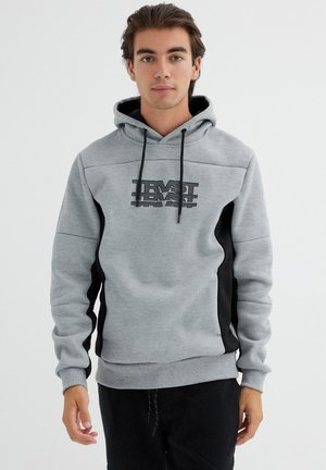 INSIDE Jersey con capucha - gris