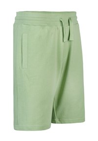 Hellgrüne Baumwoll-Shorts mit einem elastischen Bund, Kordelzug und zwei Seitentaschen. Einfaches Design mit einer glatten Textur.