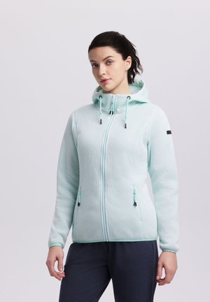 Icepeak ICEPEAK ADRIAN - Outdoor jacket - light green