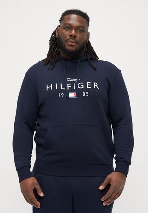 HOODY - Φούτερ με κουκούλα - desert sky