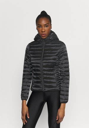 HOODED JACKET - Vinterjakke - black