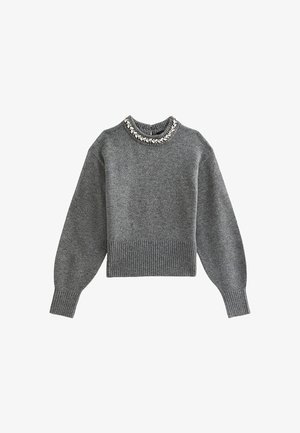 Grijze trui met een ronde halslijn, geribde zoom en manchetten, versierde neklijn en een zachte, textuurrijke stof.