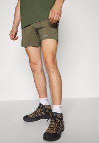 Patagonia STRIDER PRO  - Calções para exterior - pine needle green