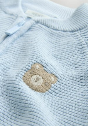 Light blue textured sweater with a zip, featuring a brown bear embroidery on the front. Material is soft and ribbed.
