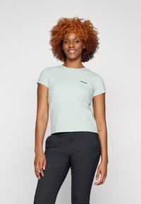 Patagonia LOGO RESPONSIBILI-TEE - Marškinėliai su spaudiniu - wispy green