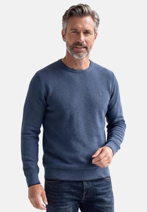 Mittelalterlicher Mann mit grauem Haar und Bart, der einen blauen, strukturierten Pullover und dunkle Jeans trägt, vor einem schlichten, hellen Hintergrund steht.