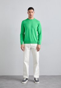 KNITID CASHMERE BLEND PLAIN CREW NECK - Strikkegenser - green flash
