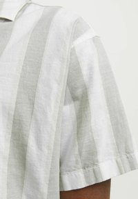 Jack & Jones PREMIUM Camicia - pad