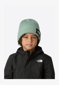 Non selezionato, slate moss