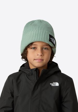 SALTY UNISEX - Kootud müts - slate moss