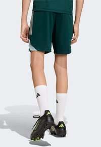 Pantalones cortos deportivos verdes con panel lateral, zapatillas de fútbol negras y neón, y calcetines blancos con rayas negras y logo.