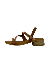 Non selezionato, nude