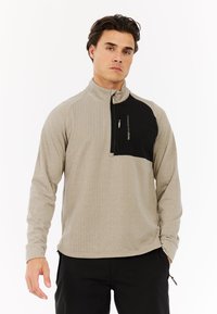 Lichtgrijze pullover met een zwart borstpaneel, halflange ritssluiting en een textuurstof met een subtiel patroon. Lange mouwen en zijzakken.